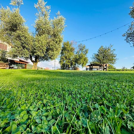 Da Gambin B&B Podenzana Екстер'єр фото
